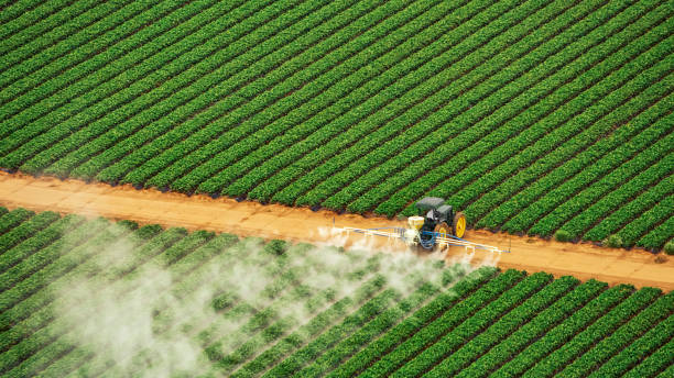 Best Mosquito Control Services  in Cambridge City, IN