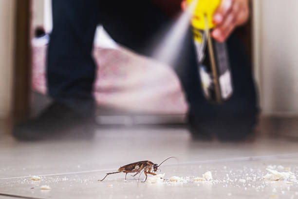 Best Best Pest Control Companies  in Cambridge City, IN